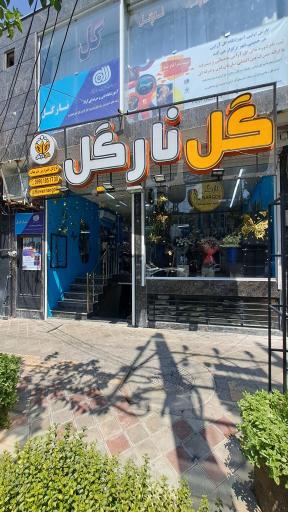عکس گل نارگل 