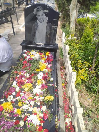 عکس آرامگاه حمیدرضا روحی