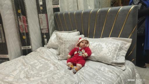 عکس کالای خواب شاهین