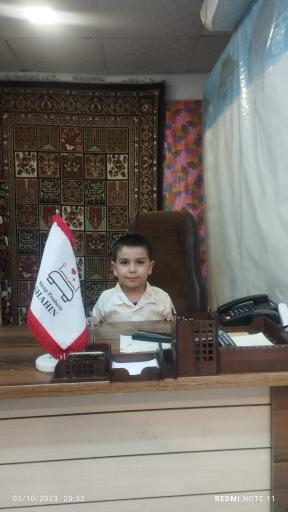 عکس کالای خواب شاهین