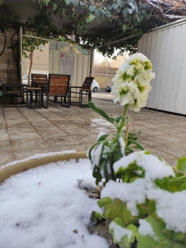 عکس آموزشگاه موسیقی لیلی و مجنون