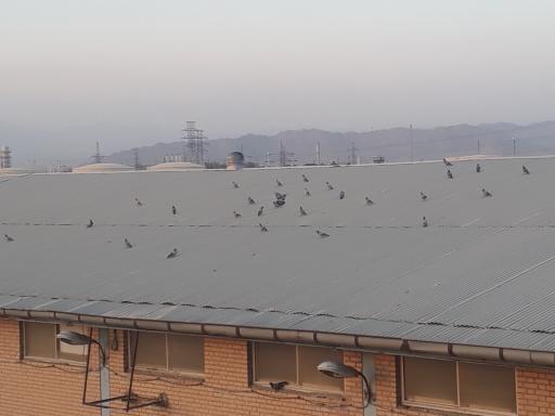 عکس استخر  سرپوشیده ایثارگران