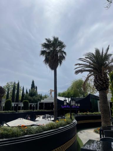 عکس کافه رستوران پارادایس