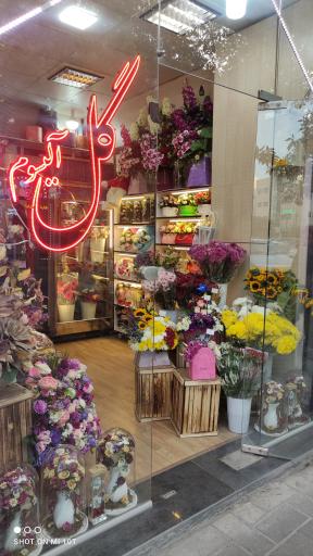 عکس گل فروشی آلیسوم