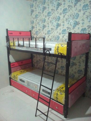 عکس کالای خواب شاهین