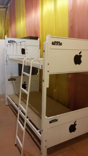 عکس کالای خواب شاهین