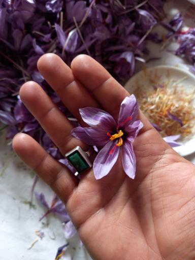 عکس زعفران جوانمرد