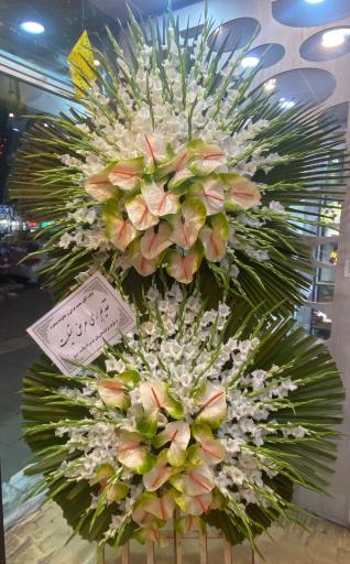 عکس گل قاصدک