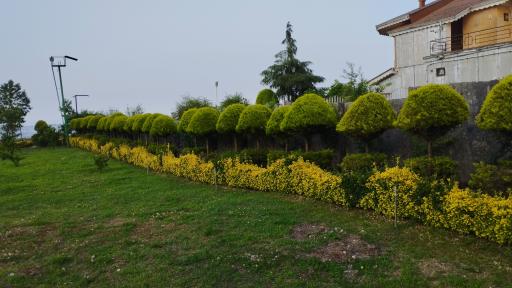 عکس مجتمع رفاهی دیناچال دانشگاه امیرکبیر