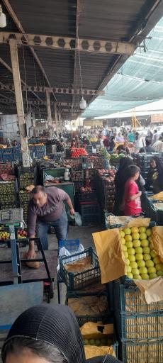 عکس میدان بار نوغان