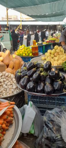 عکس میدان میوه و تره بار نوغان