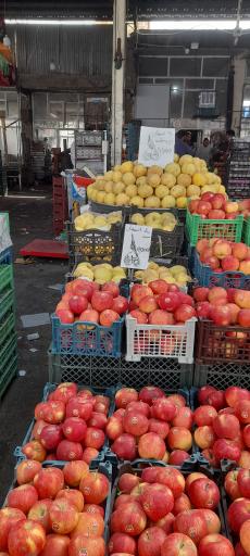 عکس میدان بار نوغان