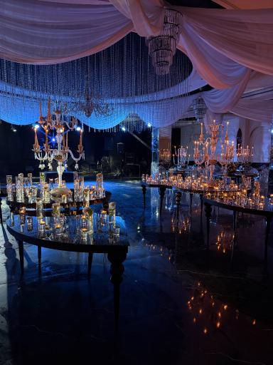 عکس تالار تشریفاتی دلوین