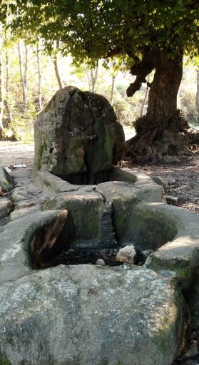 عکس پارک جنگلی اوسا