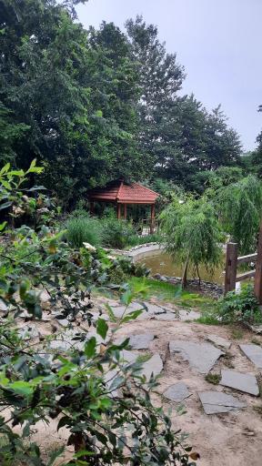 عکس آب نما پارک مفاخر