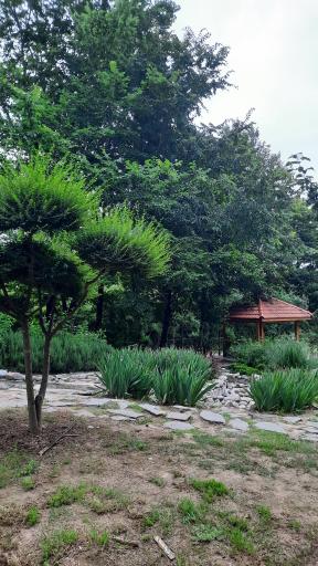 عکس آب نما پارک مفاخر