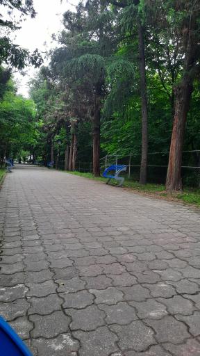 عکس آب نما پارک مفاخر