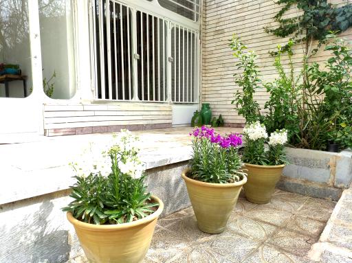 عکس آموزشگاه موسیقی لیلی و مجنون