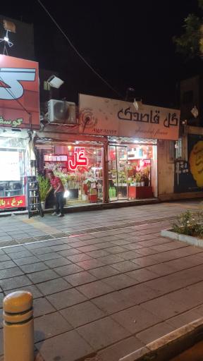 عکس گل قاصدک