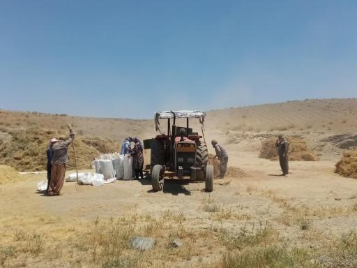 عکس قلعه میرزاعلی