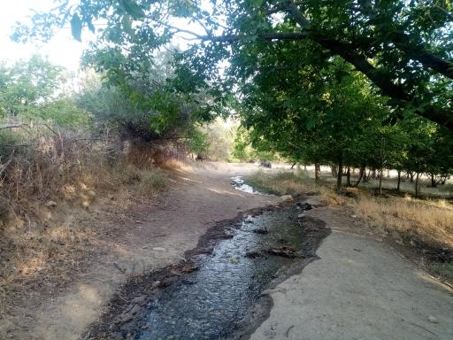 عکس قلعه میرزاعلی