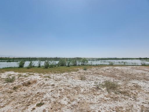 عکس تالاب صالحیه