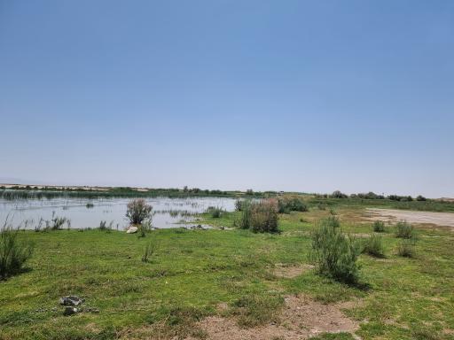 عکس تالاب صالحیه