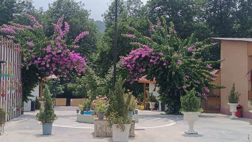 عکس رستوران ماه و ماهی