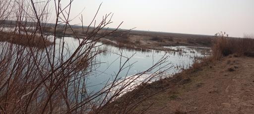 عکس تالاب صالحیه