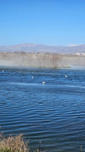 عکس تالاب صالحیه