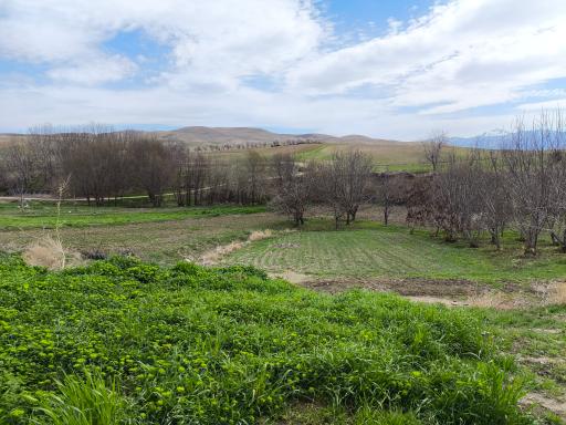 عکس قلعه میرزاعلی