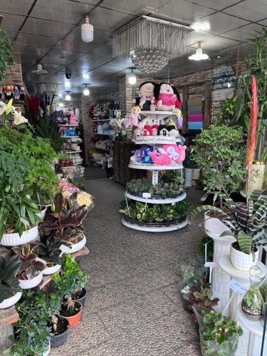 عکس گل فروشی مریم