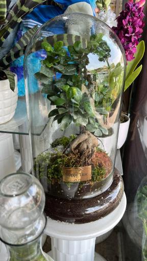 عکس گل فروشی مریم