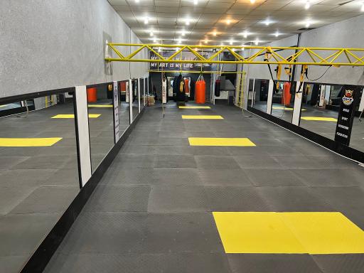 عکس باشگاه تورنادو