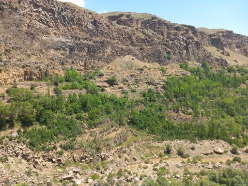 عکس قلعه میرزاعلی