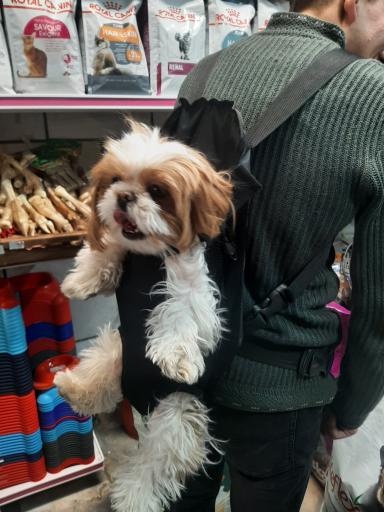 عکس کلینیک دامپزشکی کارو