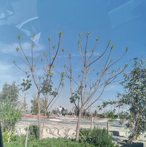 عکس قطعه ٣٢٧