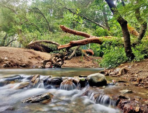 عکس دشت گیان