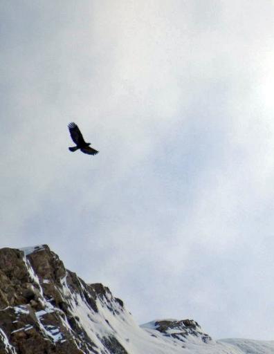 عکس دشت گیان