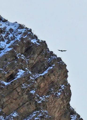 عکس دشت گیان