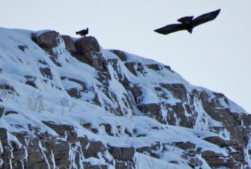 عکس دشت گیان