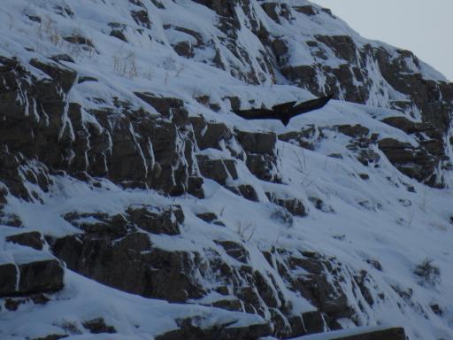 عکس دشت گیان