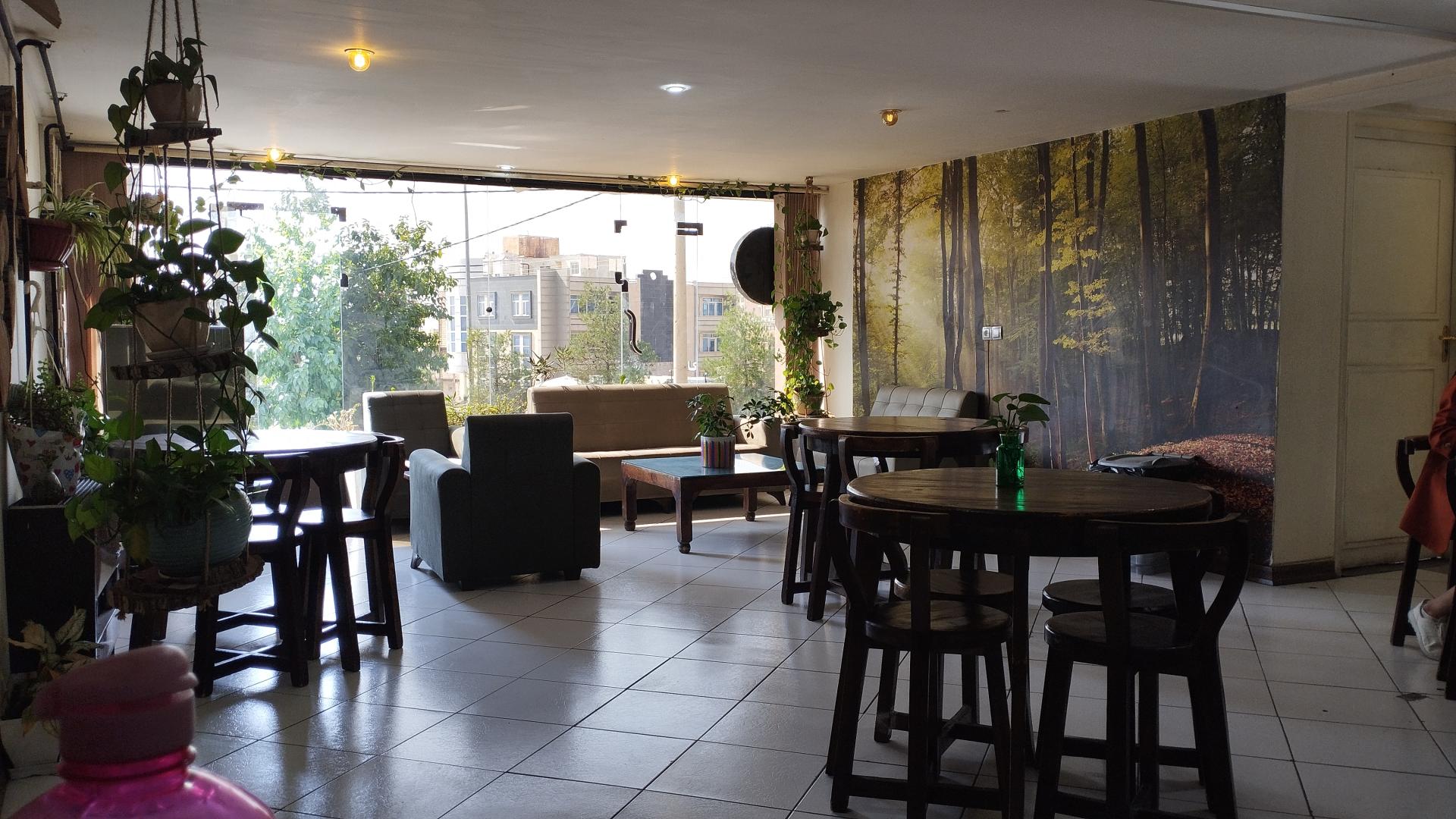 عکس کافه سبز