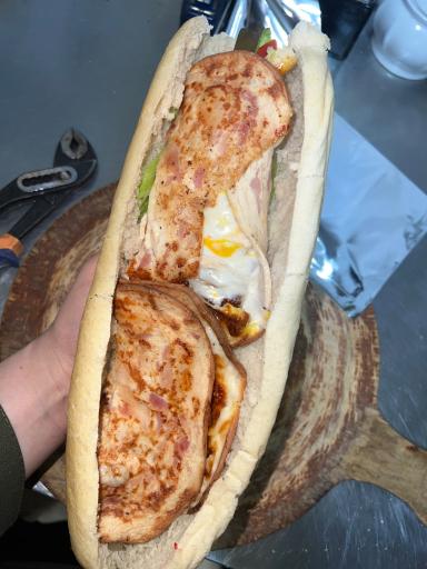 عکس فست فود حامی