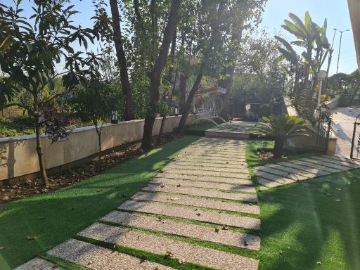 عکس فست فود می شف