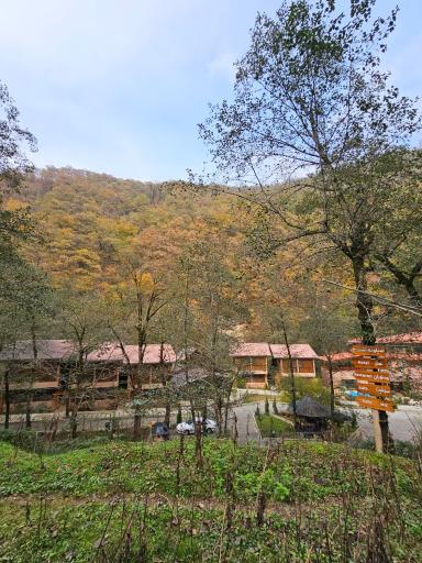 عکس دهکده اقامتی گردشگری سیلوانه