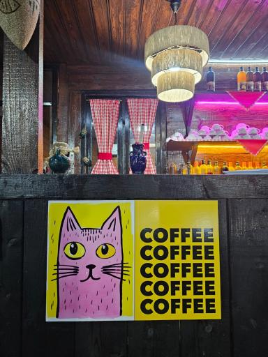 عکس دهکده اقامتی گردشگری سیلوانه