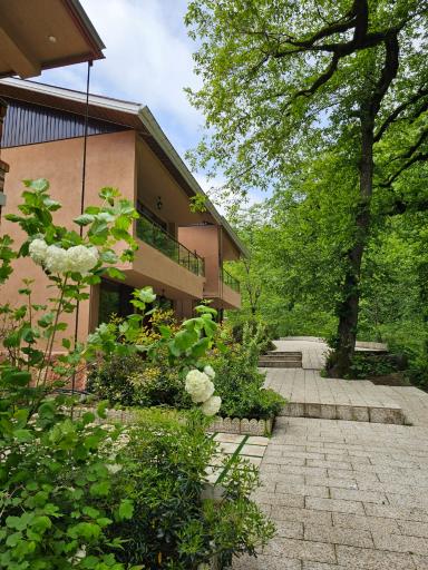 عکس دهکده اقامتی گردشگری سیلوانه