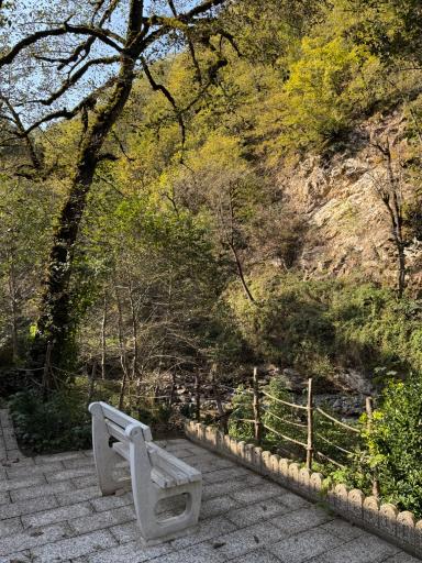 عکس دهکده اقامتی گردشگری سیلوانه