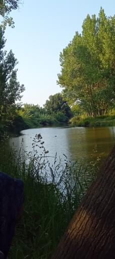 عکس منطقه گردشگری آرمیچ کلا 